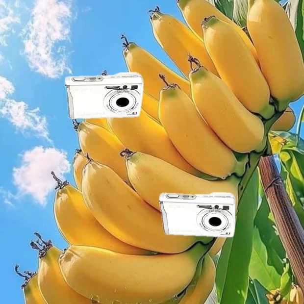 희귀&입문!) Sony Cyber-shot W90 디카 카메라