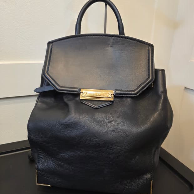 알렉산더왕 프리스마 스케레탈 백팩