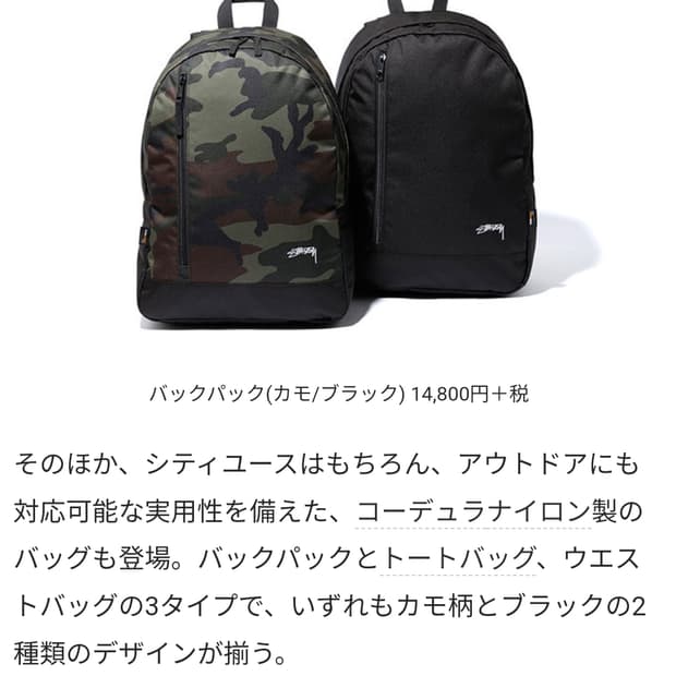 스투시 백팩