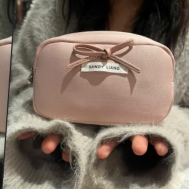 Sandy liang smol pouch