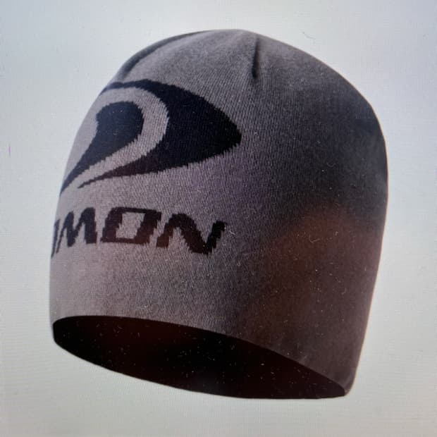 살로몬 링크비니