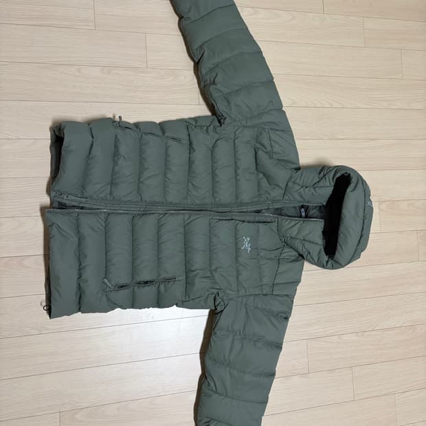 아크테릭스 토륨 포리지s