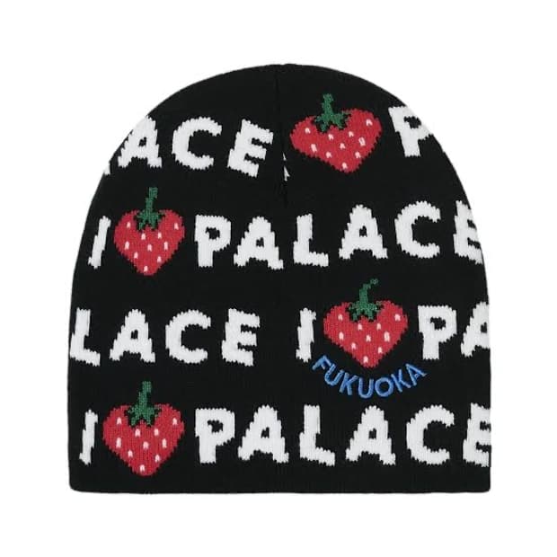 팔라스 후쿠오카비니