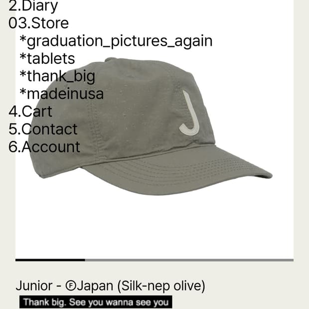 테프스토어즈. JAPAN(silk-nep olive)