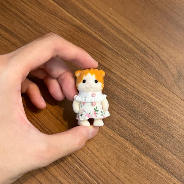 실바니안 패밀리 메이플 캣 고양이 직립