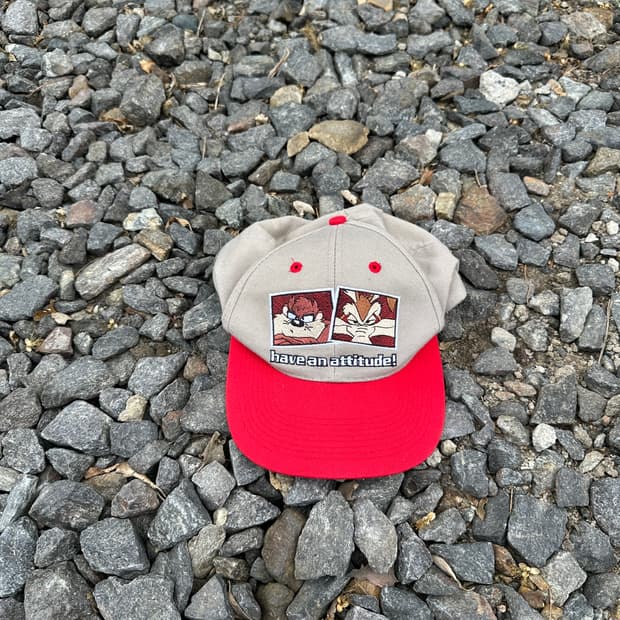 97 looney tunes taz&wile e coyote cap