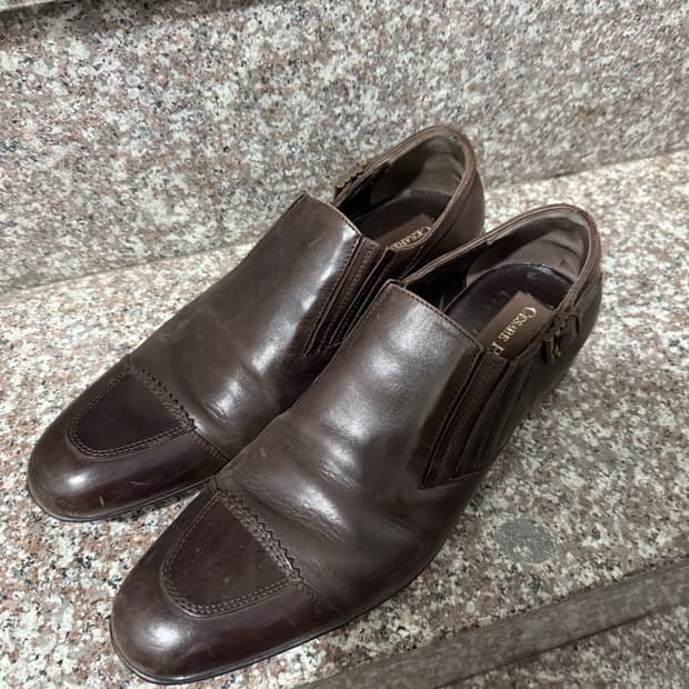 체사레 파치오티 브라운 로퍼