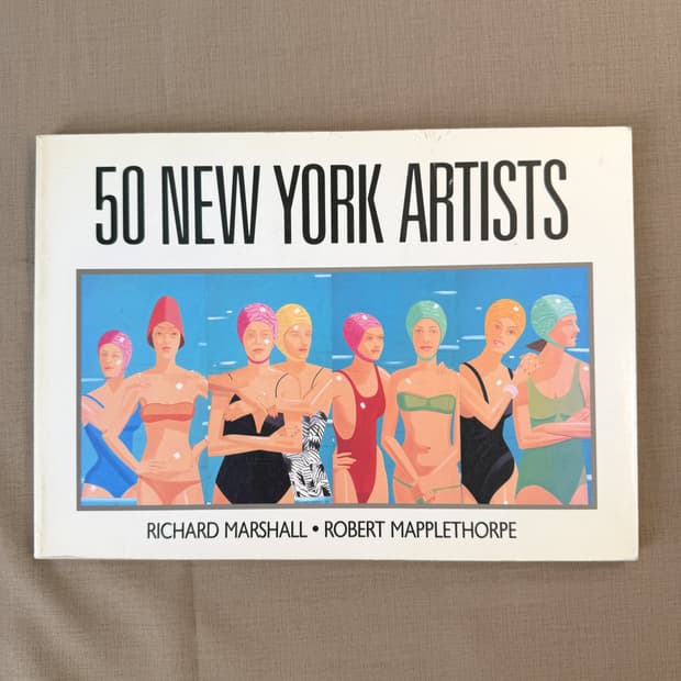 50 NEW YORK ARTISTS 뉴욕 현대미술 팝아트 아트북 도록