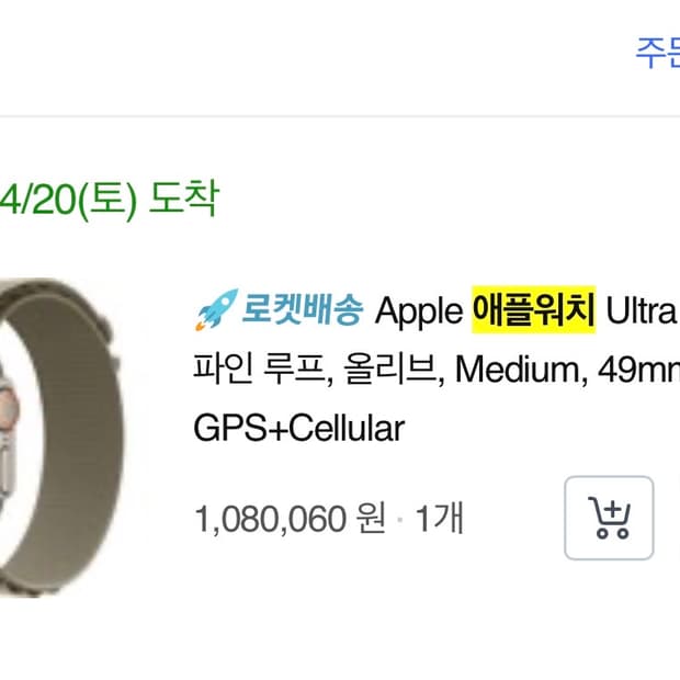 애플워치 울트라2 셀룰러 티타늄 알파인 루프 박스 있음