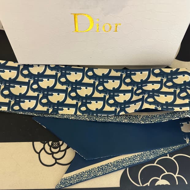 디올 오블리크 방도스카프 