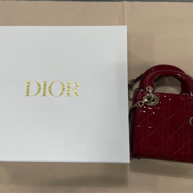 디올 레이디백 페이던트 미니