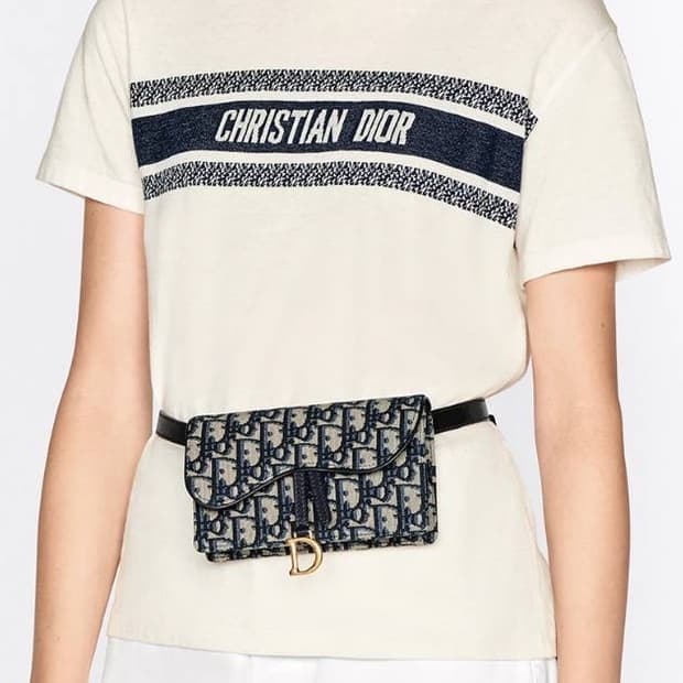 디올 새들 벨트백