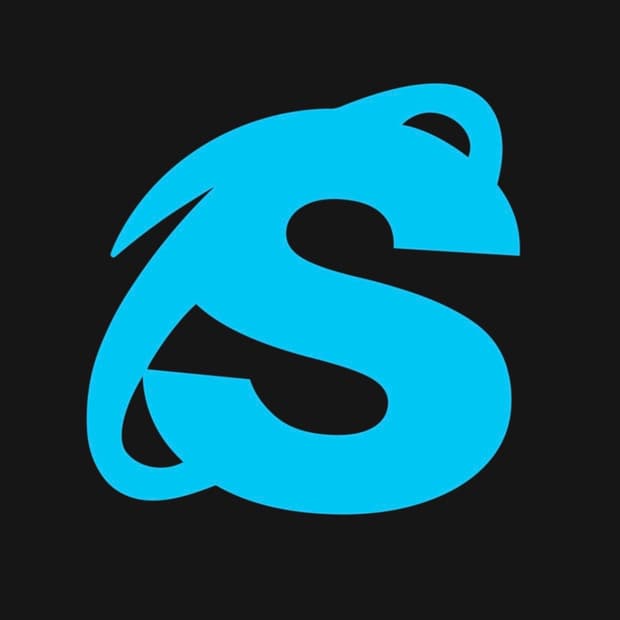 ss-hoodie 1