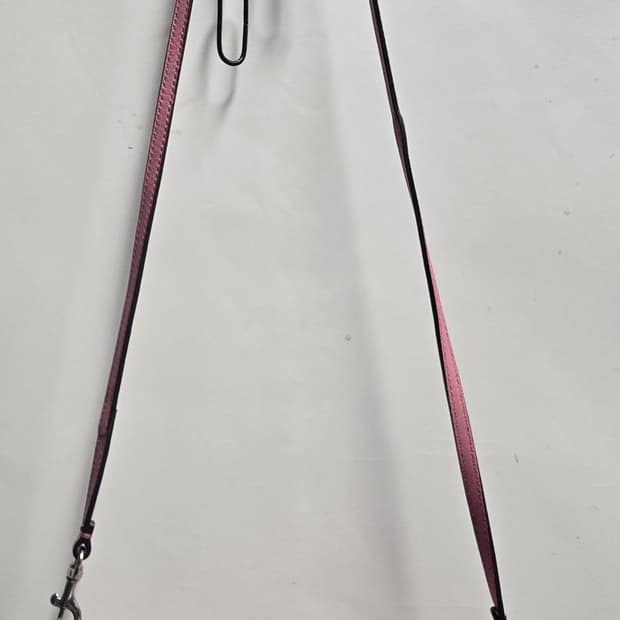 코치 핑크 은장 크리스 슬릿 미니 크로스백