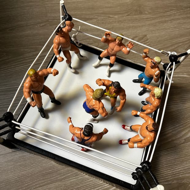 빈티지 WWE 프로레슬링 링 & 피규어 세트