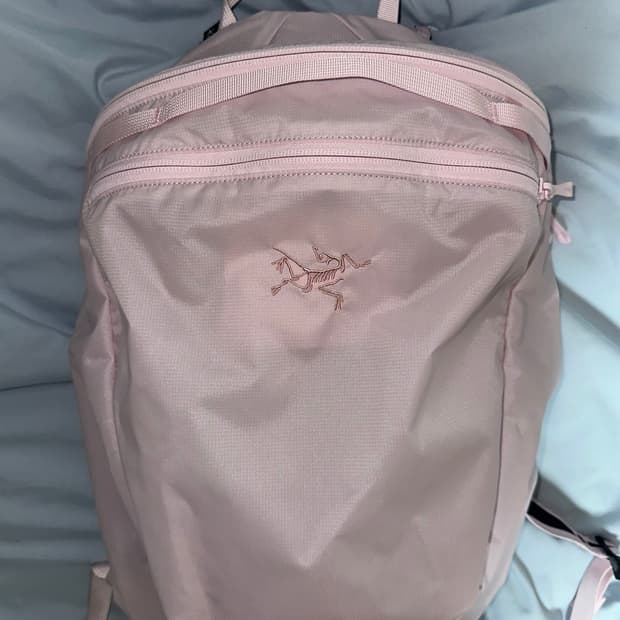 아크테릭스 헬리아드 15 핑크