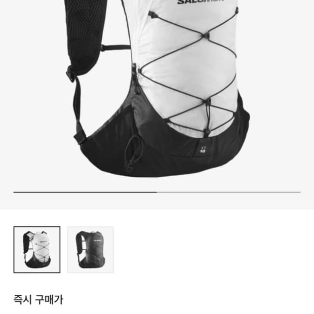 살로몬 xt-10 럭색 백팩