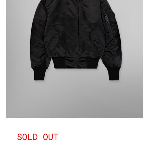 구해요) 페기구 콜라보 알파인더스트리 봄버