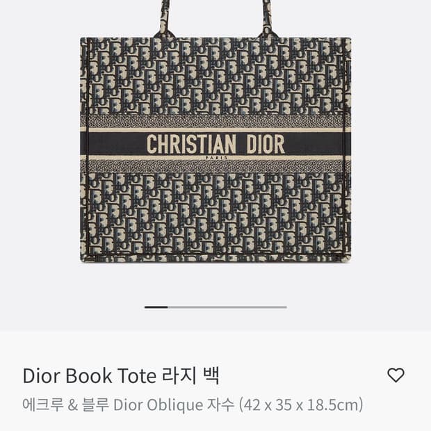 디올 북토트 라지 백