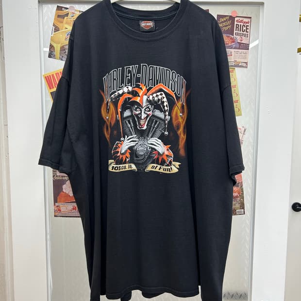 [4XL] 할리데이비슨 자이언 국립공원 백프린트 티셔츠 