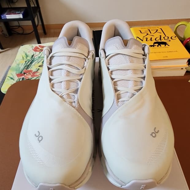 온러닝 파프 클라우드 몬스터 베이퍼 프로스트 270