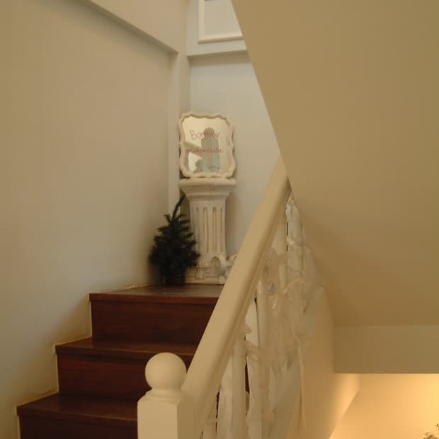 라이카 디지룩스와 쌍둥이 파인픽스 1700z