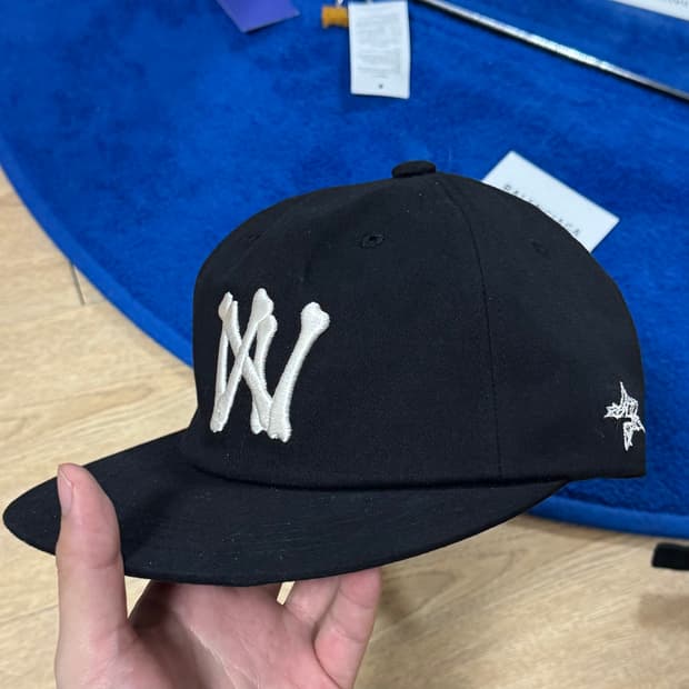 아오이로 6패널 본 볼캡