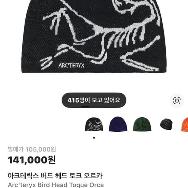 아크테릭스 버드 헤드 토크 오르카 블랙 비니