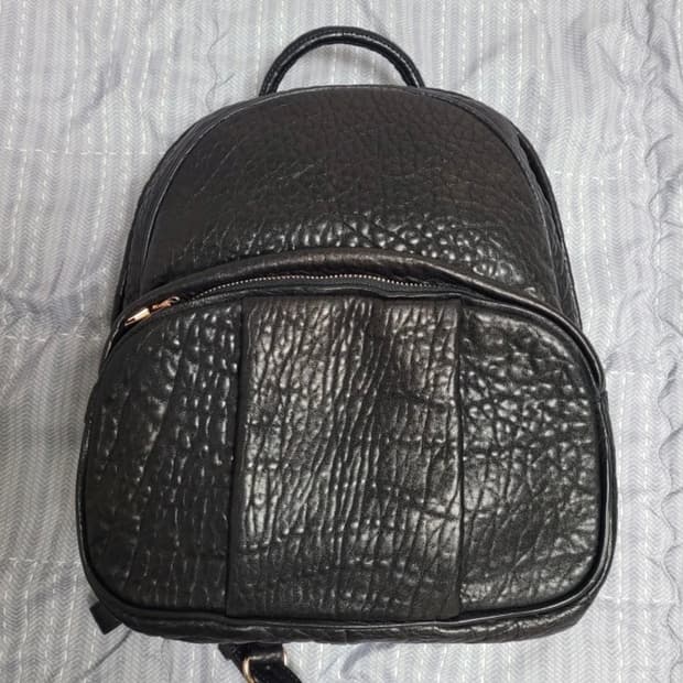 알렉산더왕 덤보 백팩