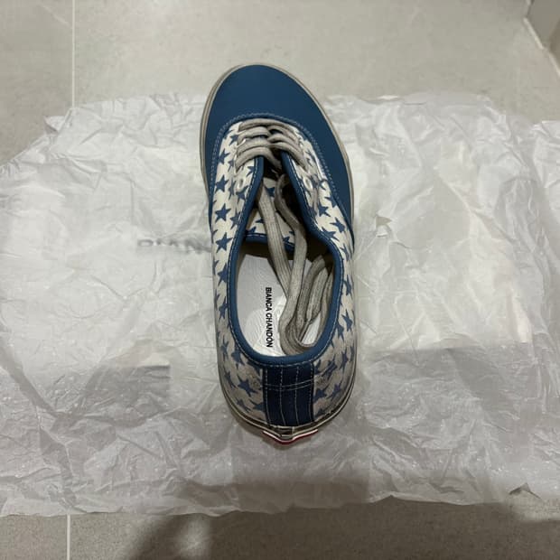 반스 비앙카샹동