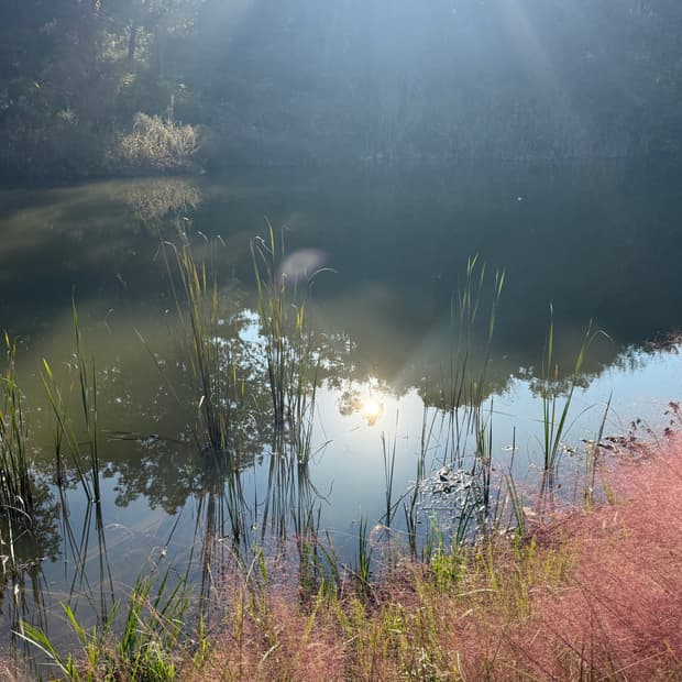 메리크리스마스