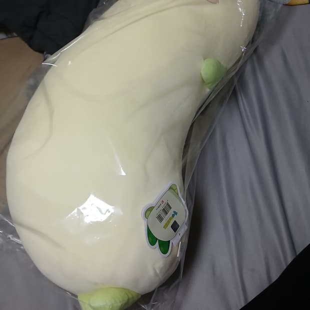 *꼭 안아줘요 양파쿵야 바디필로우*