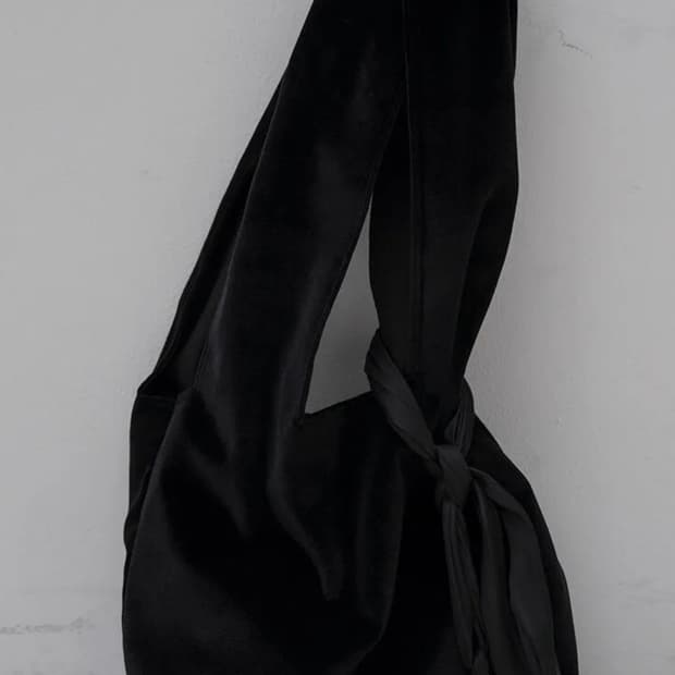 ae 애 velvet bag