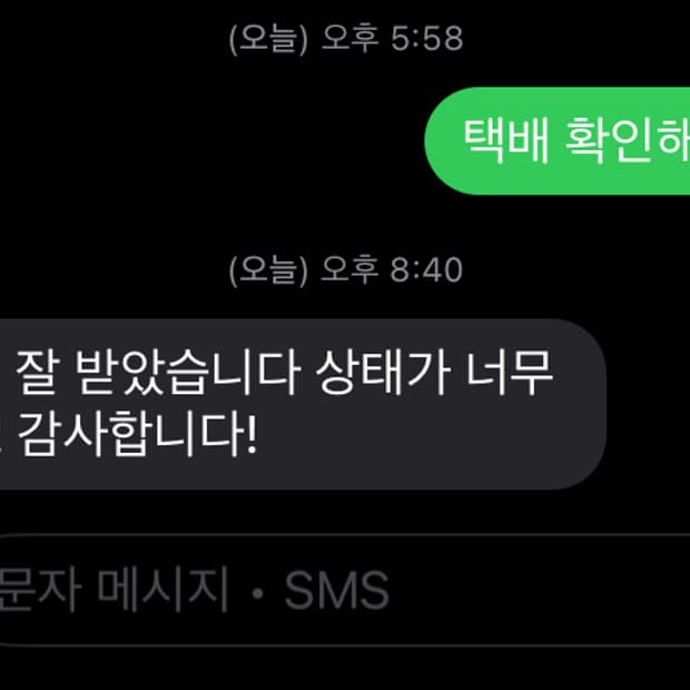 폴로 빅포니 푸퍼 패딩 M 블랙 급처