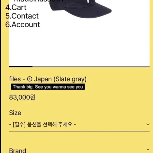 테프스토어즈 볼캡 L