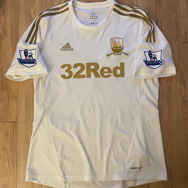 스완지 백주년 기성용