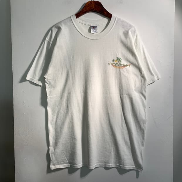  만원샵) jerzees 저지스 빈티지 티셔츠 L C224