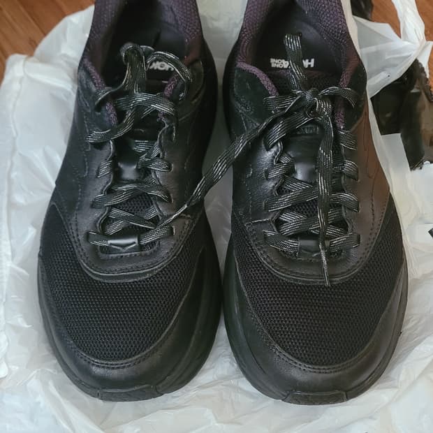 호카오네오네 oc 본디 270