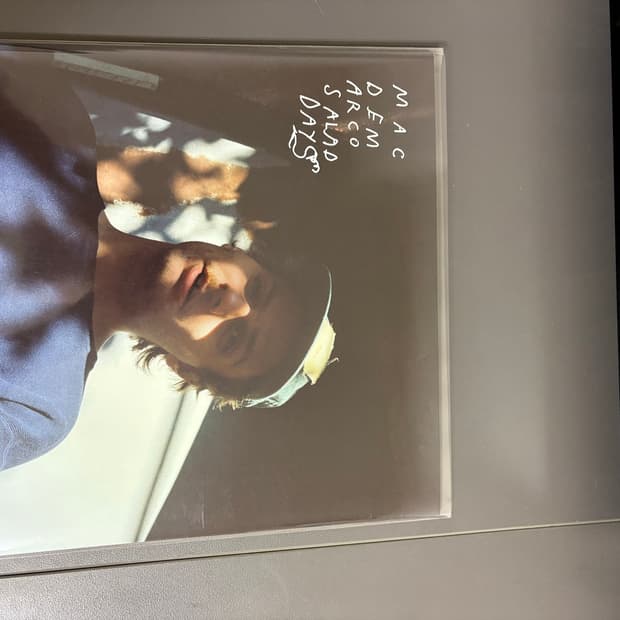 맥 드마르코 mac demarco salad days lp 바이닝