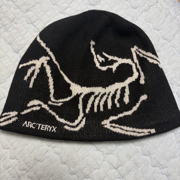 아크테릭스 비니