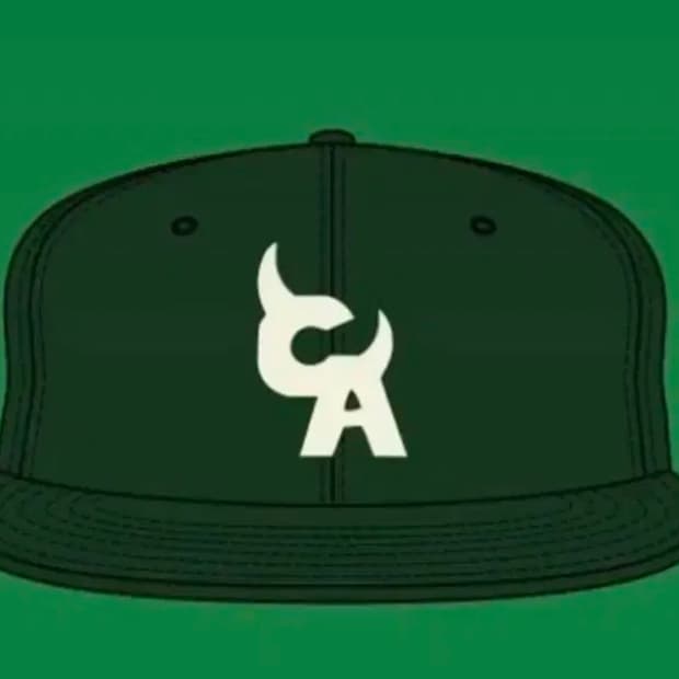 타일러 더 크리에이터 모자 머천 MD