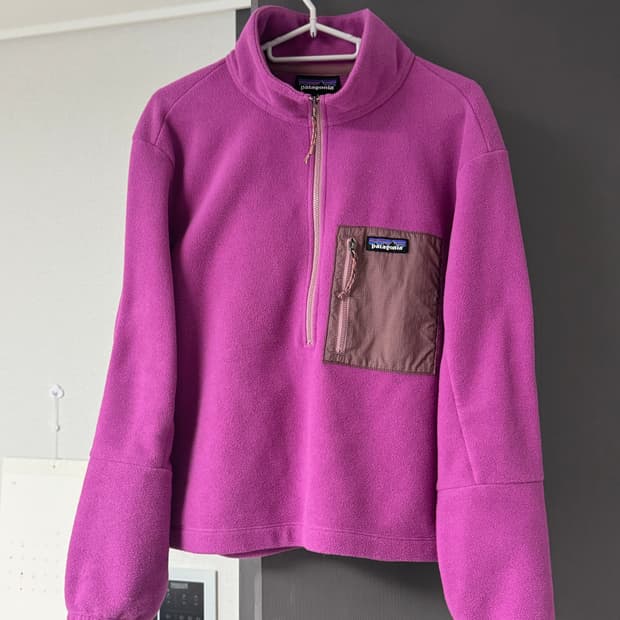 파타고니아 마이크로디니 하프집업