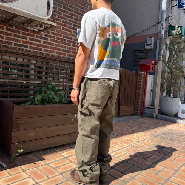 Dickies carpenter (36X32)
