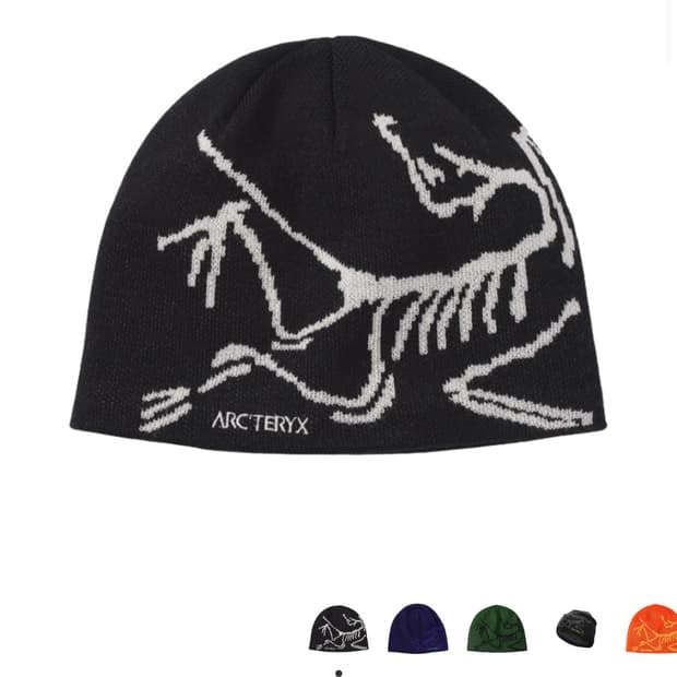 아크테릭스 비니