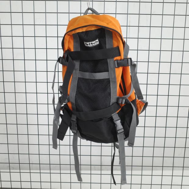 90's bitch skateboards backpack