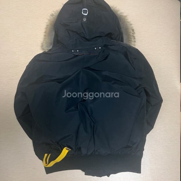 파라점퍼스 고비