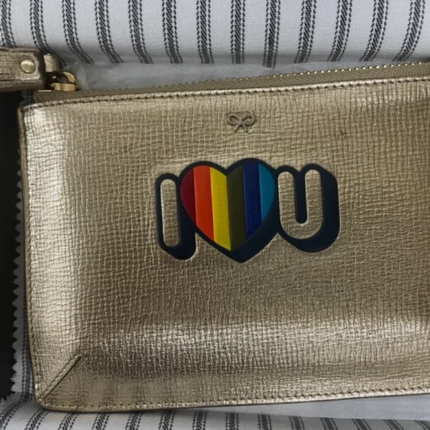 안야 힌드마치(anya hindmarch) 포켓스몰 파우치 (메탈릭골드)