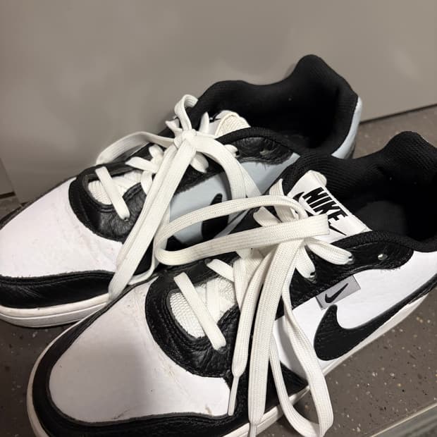 나이키 에버논 로우 / AQ1774-1 / 250