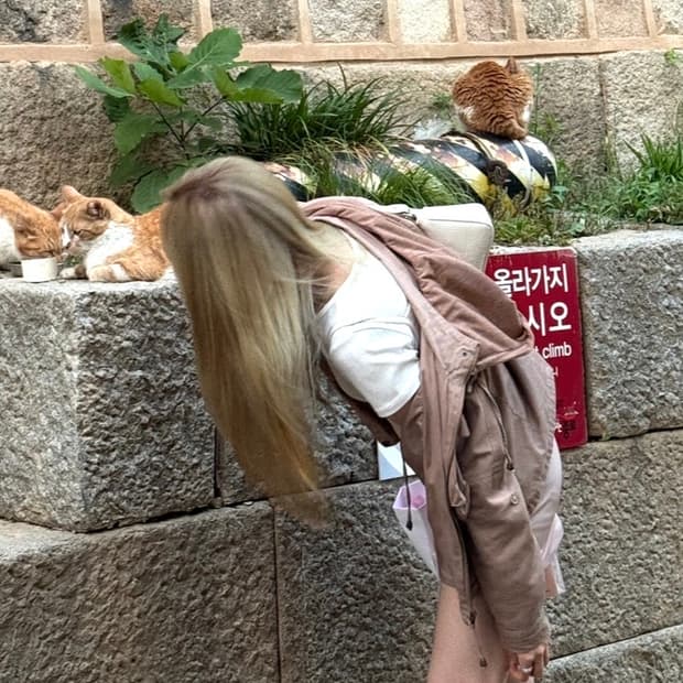 밸리걸 후드집업 자켓 인디핑크