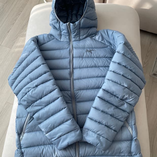 아크테릭스 세륨 루센트 L